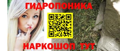 спайс Гусь-Хрустальный