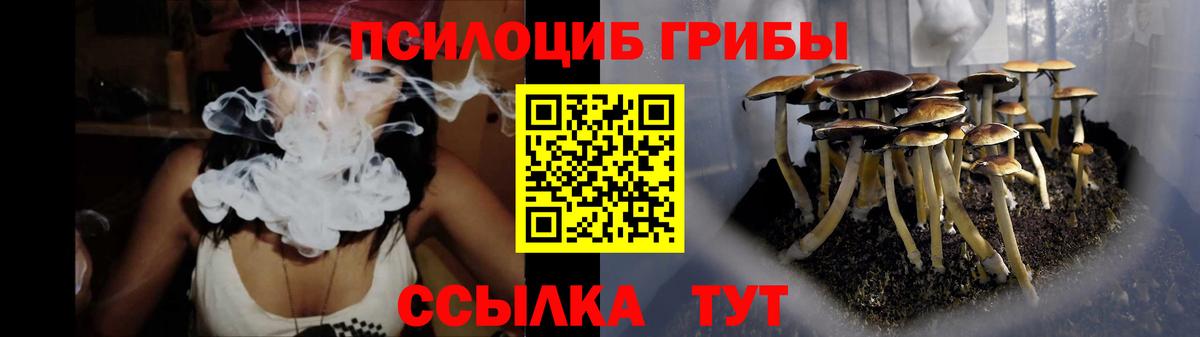 Бугуруслан  Галлюциногенные грибы ЛСД  Псилоцибиновые грибы мицелий  Вход с VPN 